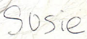 susie.JPG