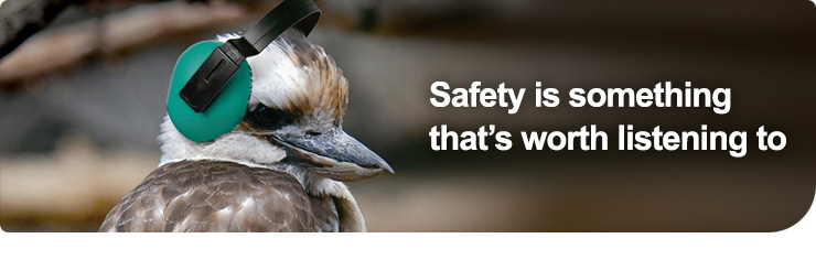 safetybird.jpg